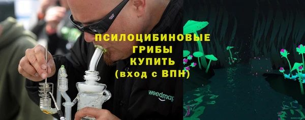 МДПВ Мегион