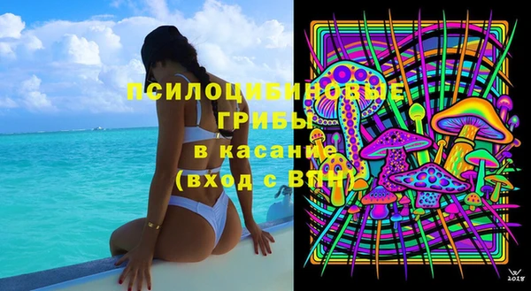 гашик Магас