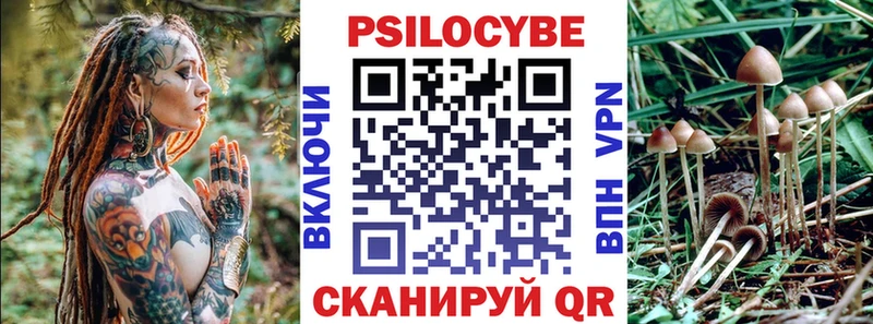 Псилоцибиновые грибы Magic Shrooms Кизляр