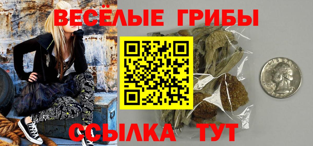 Бошки Шишки Кизляр