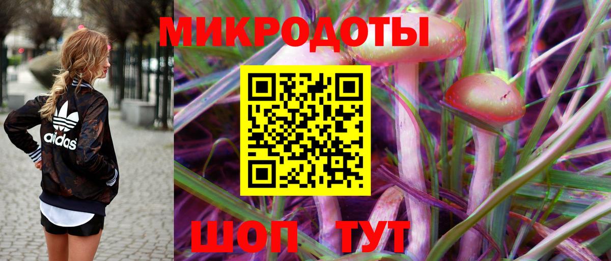 Псилоцибиновые грибы Cubensis  Вход с VPN  Кизляр 