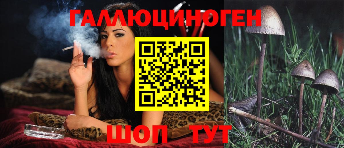 Псилоцибиновые грибы Magic Shrooms Кизляр